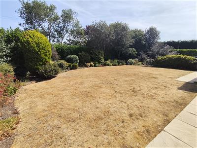 Picture 28